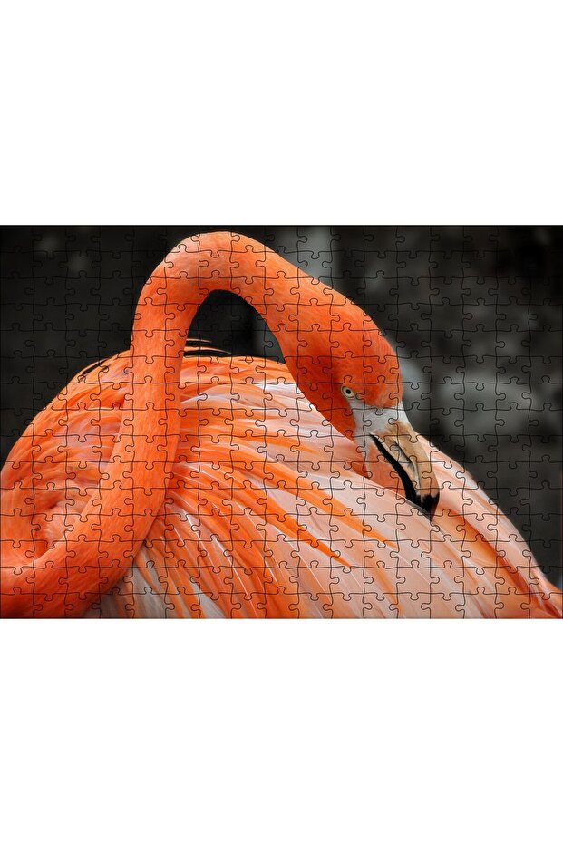 Cakasepetim Orange Flamingo 255 Piece Puzzle Jigsaw Puzzle Mdf (Wood)