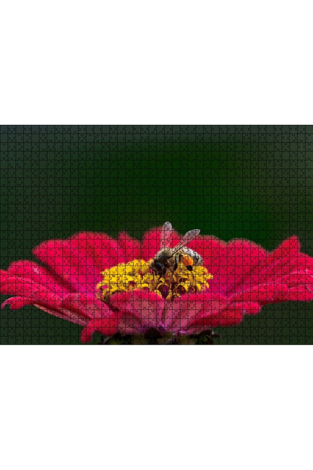 Cakasepetim Honeybee Collecting Pollen from Red Flowers 1000 Piece Puzzle Jigsaw Mdf (Wood)