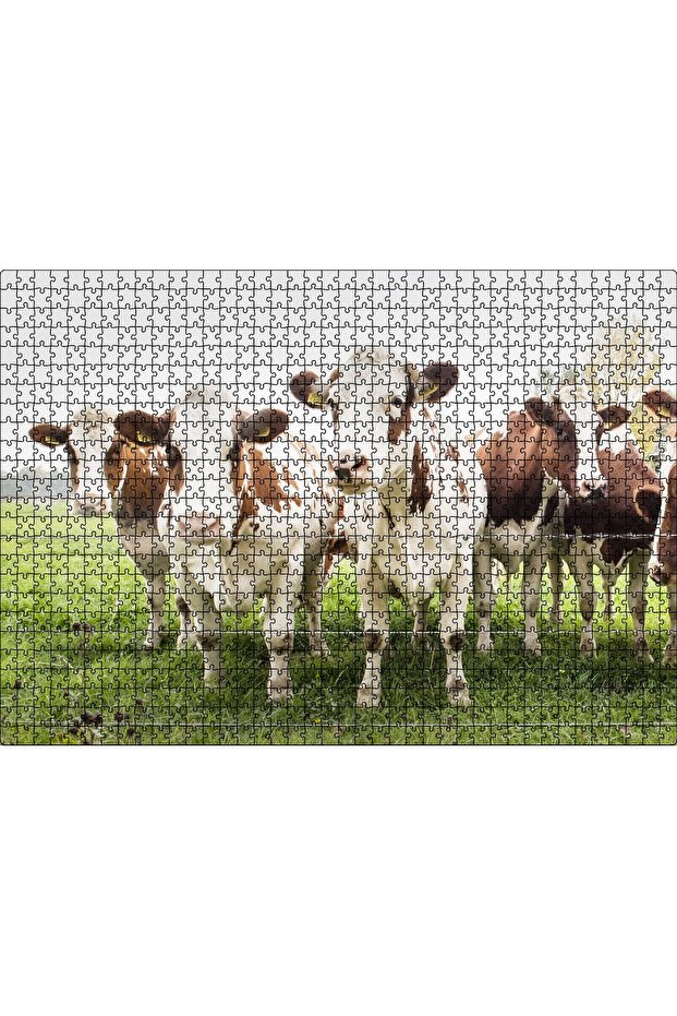 Cakasepetim Cows on the Meadow Near a Wire Fence 1000 Piece Puzzle Jigsaw Mdf (Wood)