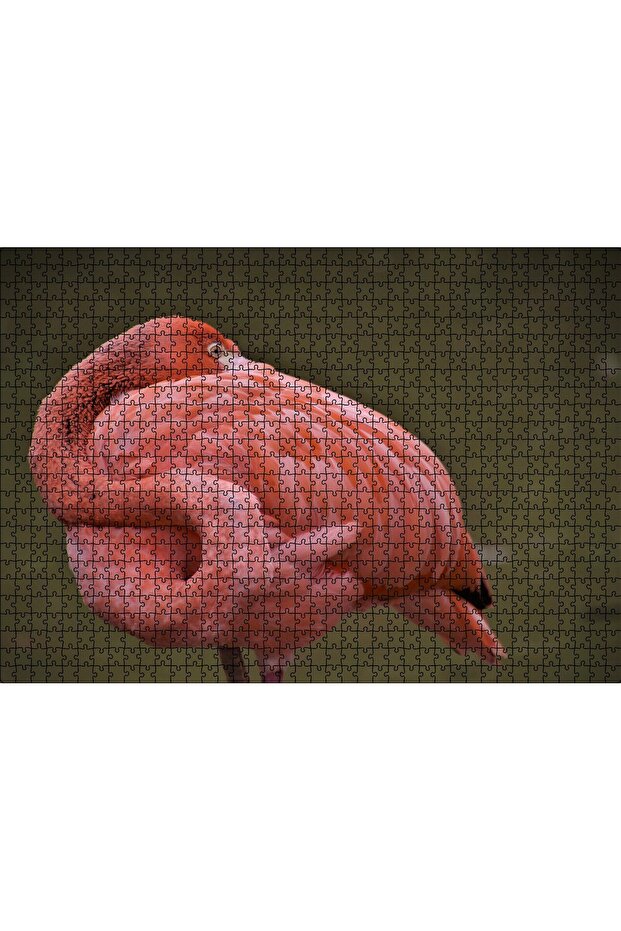 Cakasepetim Flamingo Relaxing by Wrapping Around Itself 1000 Piece Puzzle Jigsaw Mdf (Wood)
