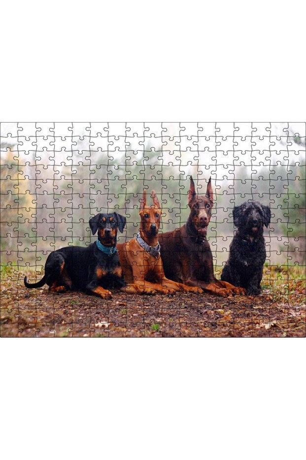 Cakasepetim 4 Dogs on Autumn Leaves 120 Piece Puzzle Jigsaw Puzzle Mdf (Wood)