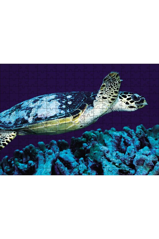 Cakasepetim Sea Turtle at the Seashore 120 Piece Puzzle Jigsaw Mdf (Wood)