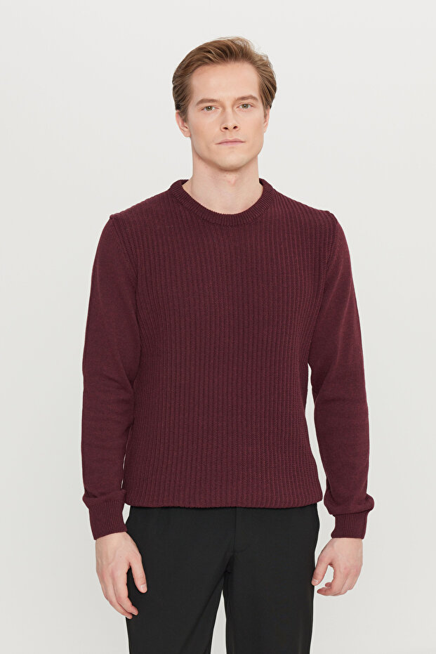 Men's Burgundy Cotton Standard Fit Regular Cut Crew Neck Jacquard Knitwear Sweater