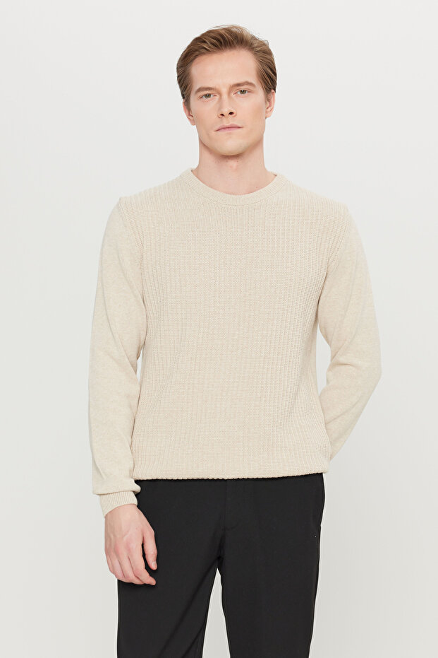Men's Light Beige Cotton Standard Fit Regular Cut Crew Neck Jacquard Knitwear Sweater