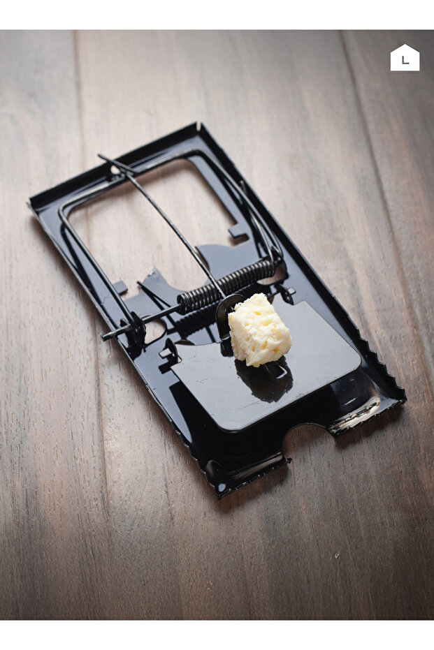 Mouse Trap Set - 6 Piece Medium Reusable Spring Snap Traps for Indoor Rodent Control - 6