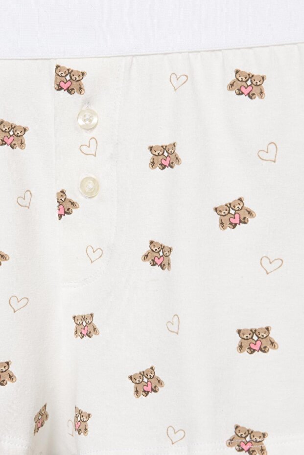 Ayı desenli boxer - 4