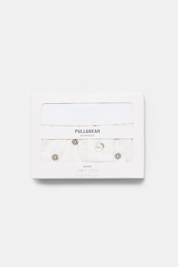 Papatyalı Boxer - 2