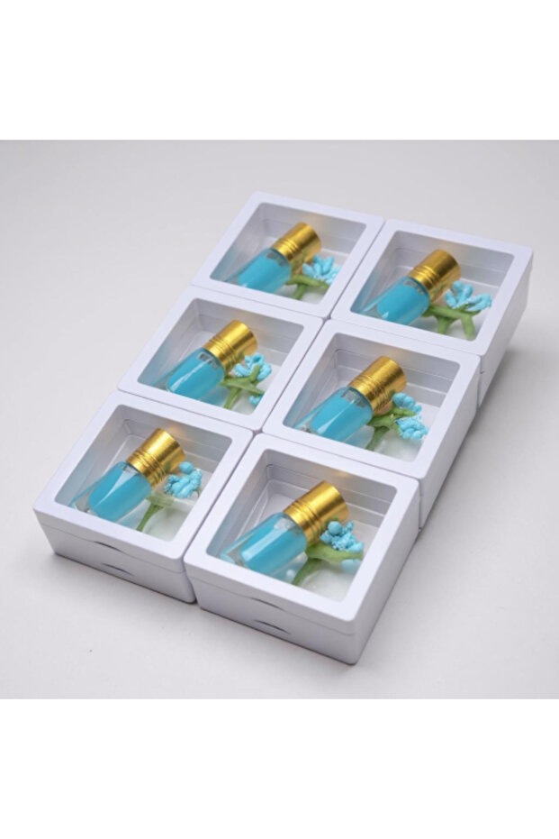 Set of 12 Musk Scent Distribution in Transparent Frames - 1