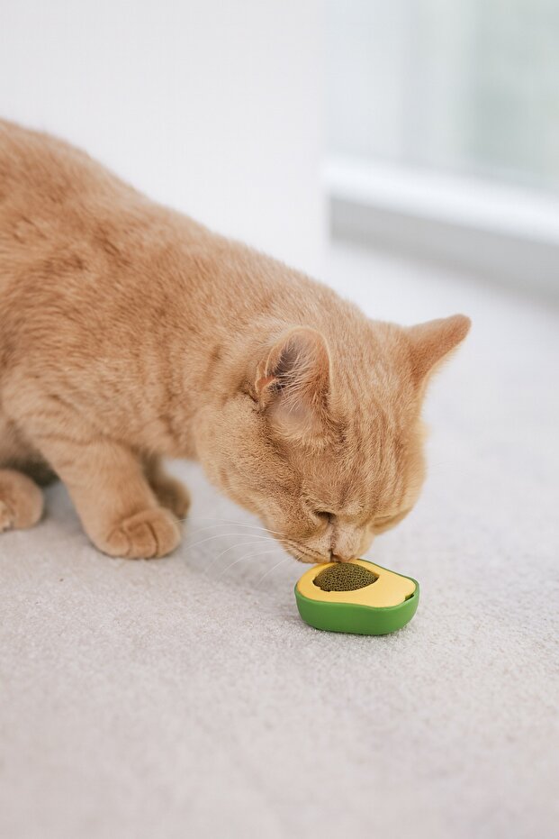 Cute Adhesive Cat Grass Avocado Catnip 360 Degree Rotating Catnip Toy Play Ball 1Pc - 4