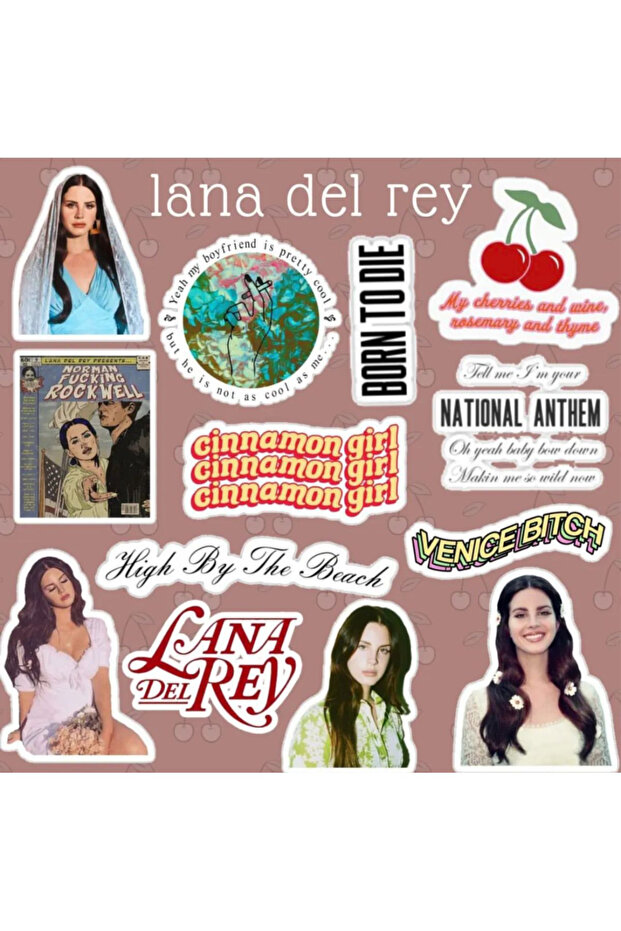 Lana Del Rey Series 4 Sticker Set | Laptop Agenda Notebook Tablet Phone Notebook Sticker Journal