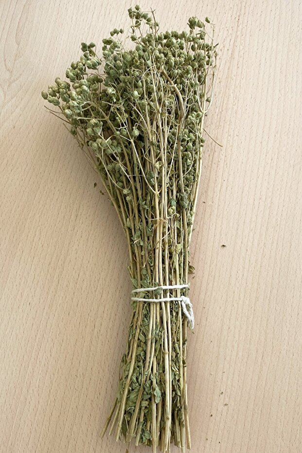 25 Gr Böğürtlen Kökü / Yeni Mahsül - Katkısız & Doğal - 1