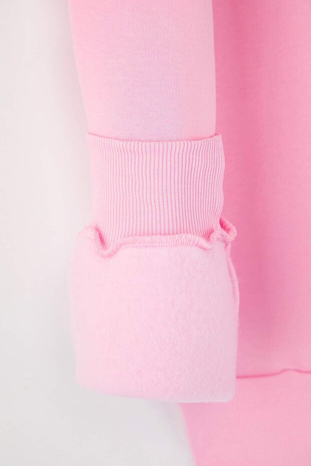 Açık Pembe Kalın İçi Polarlı Regular/Normal Kalıp Bisiklet Yaka Basic Örme Sweatshirt TWOAW24SW00101 - 9