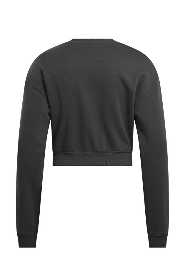 AE VECTOR LAYER Antrasit Kadın Sweatshirt - 3