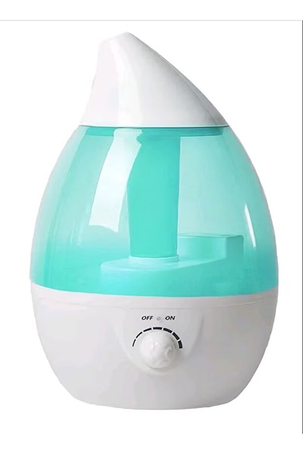Diffuser to purify the air and beautify the environment - 1