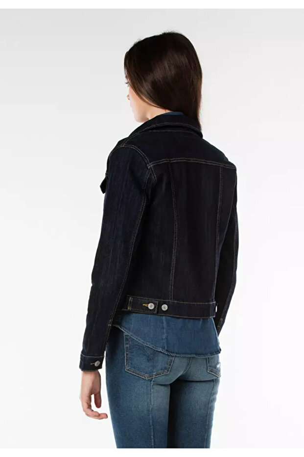 Even Rinse Trucker - 3