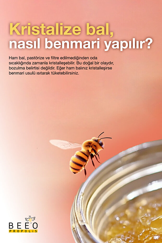 Kestane Balı 500 gr - 4