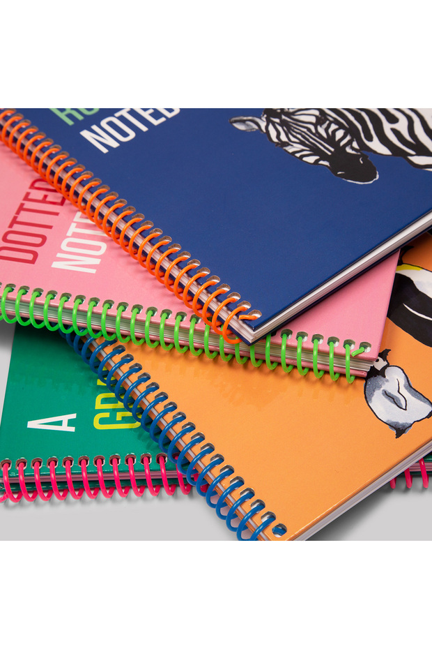 مجموعة دفاتر ملاحظات متباينة: مختومة - 5