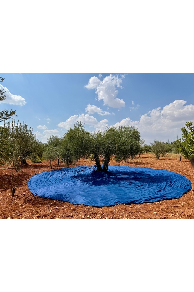 Zeytin Toplama Filesi - 1