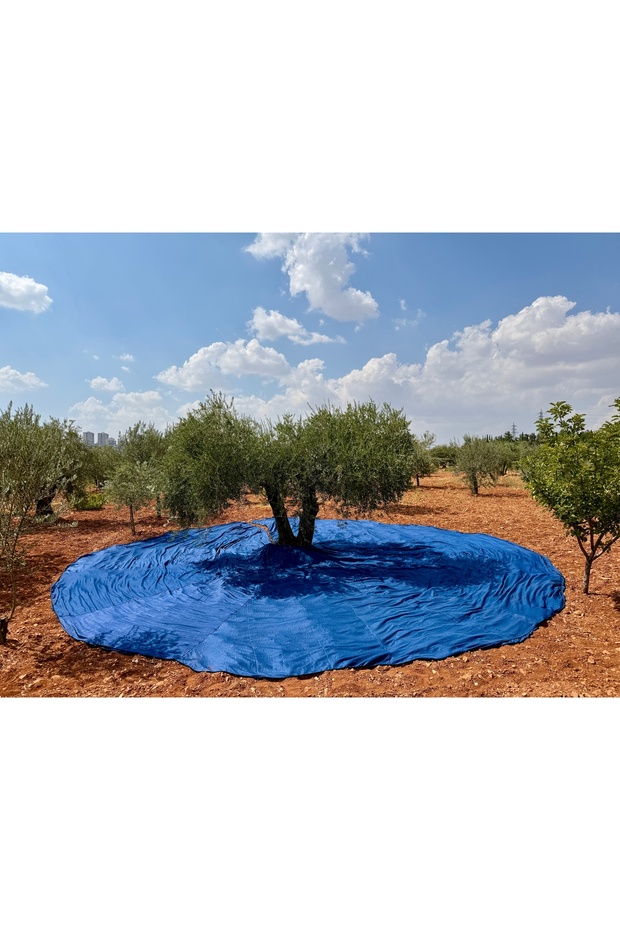 Zeytin Toplama Filesi - 3
