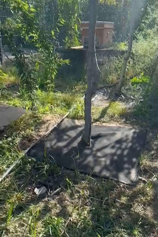 BİTKİ PASPASI (80*80 cm) 5'Lİ - 6