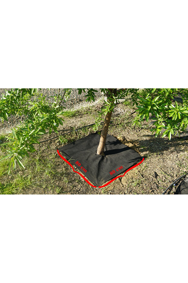 BİTKİ PASPASI (80*80 cm) 5'Lİ - 5