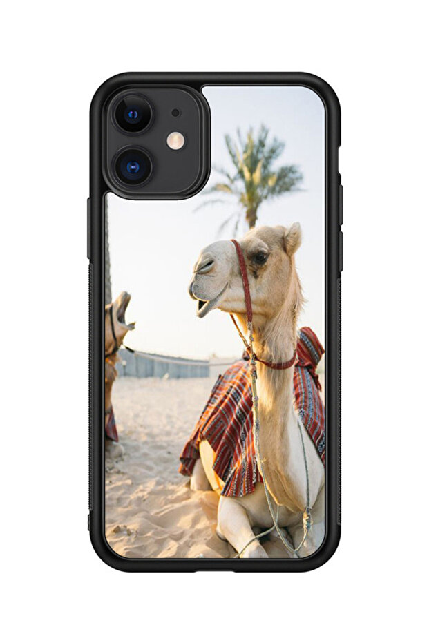 كفر ايفون 11 متعدد الألوان - 1