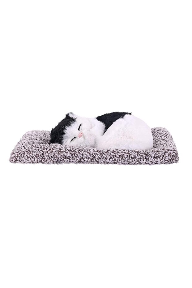 Cute Cat in Multicolours Randomly Assorted with Cute Cat Sound - 3