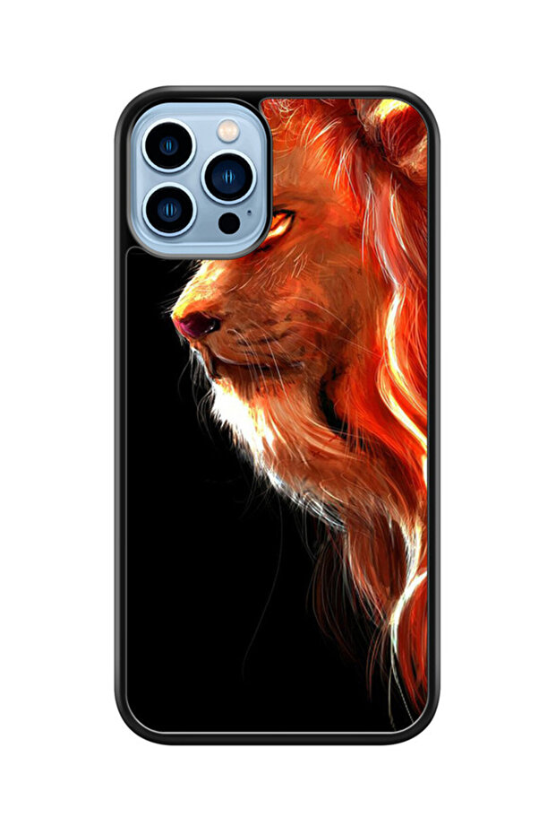 Multi-colored iPhone 13 Pro case - 1