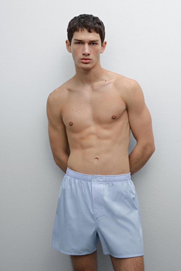 Pötikareli mini boxer - 2