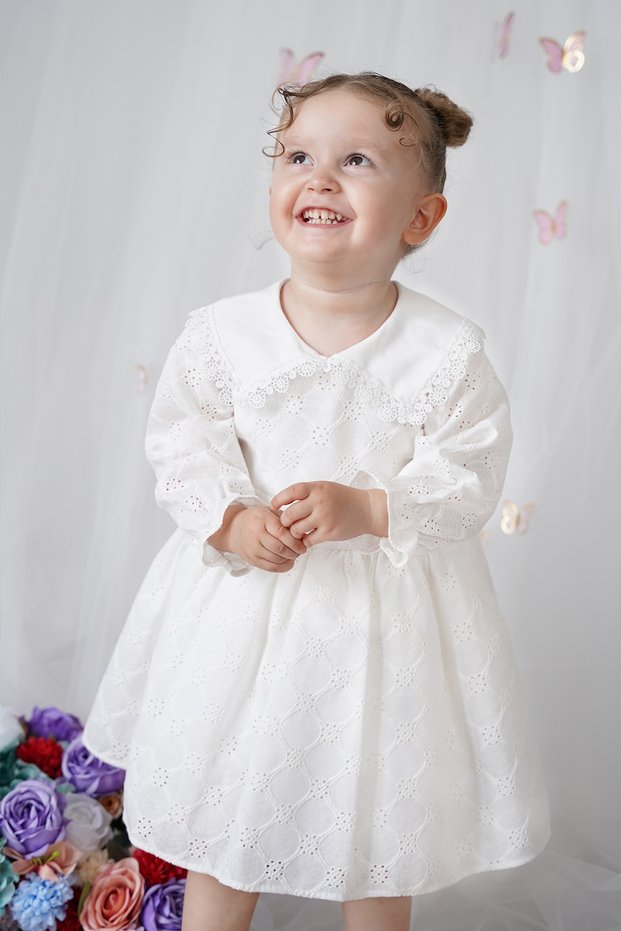 Girls' Dress Long Sleeve Ruffled V-Neck Special Occasion Birthday Wedding Party Daily Baby Girl Dress