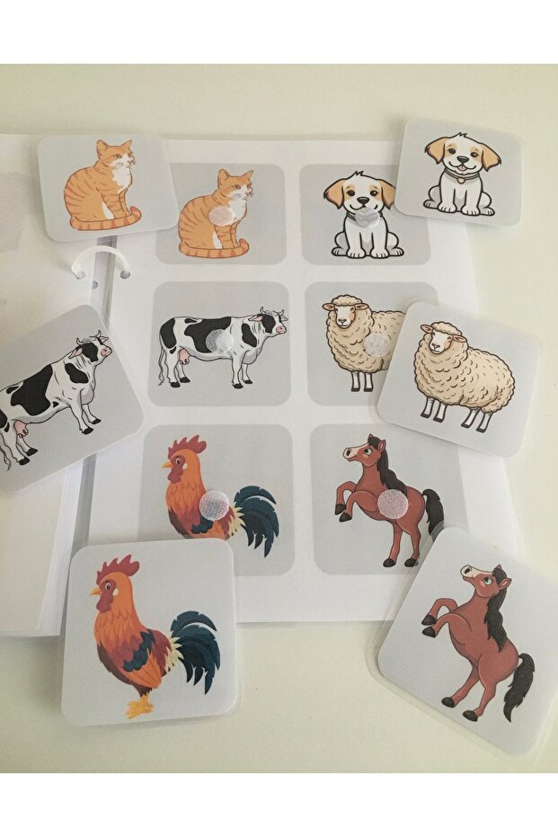 Matching Activity Book, Pre-School Special Education, Activity, Activity - 7