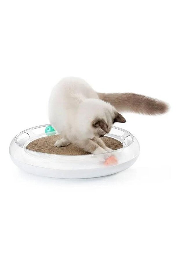 Support for Scratching and Playing with Cat Grass Scratcher 4 in 1 - 5
