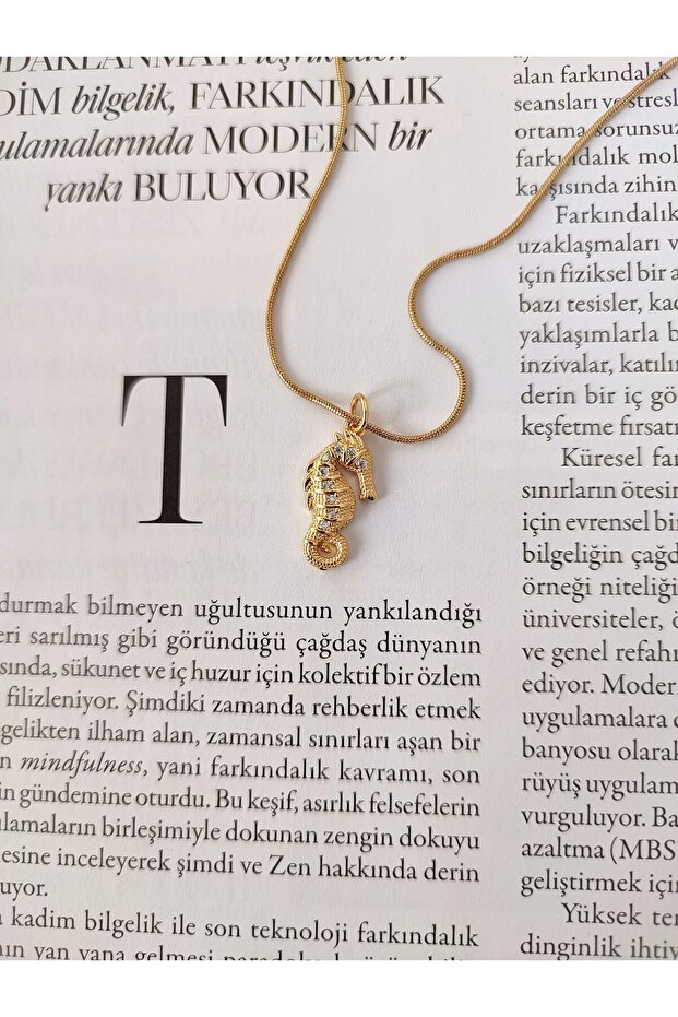Kadın Çelik Deniz Atı Model Kolye - 2