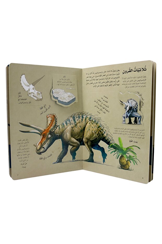 Discover the world of dinosaurs - open the window and discover with over 60 folds inside the book - 3