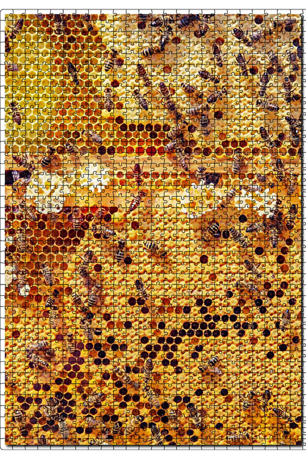 لغز تركيب مكون من 1000 قطعة من خشب MDF (الخشب) مع صورة خلية النحل من Cakasepetim