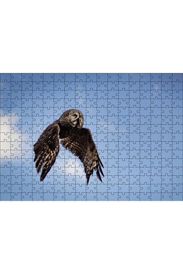 Cakasepetim Flying Owl 120 Piece Puzzle Jigsaw Mdf (Wood)