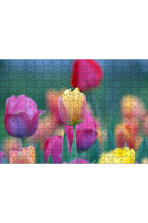 Cakasepetim 120 Piece Puzzle Jigsaw Puzzle Mdf (Wood) with Image of Colorful Tulips in Spring
