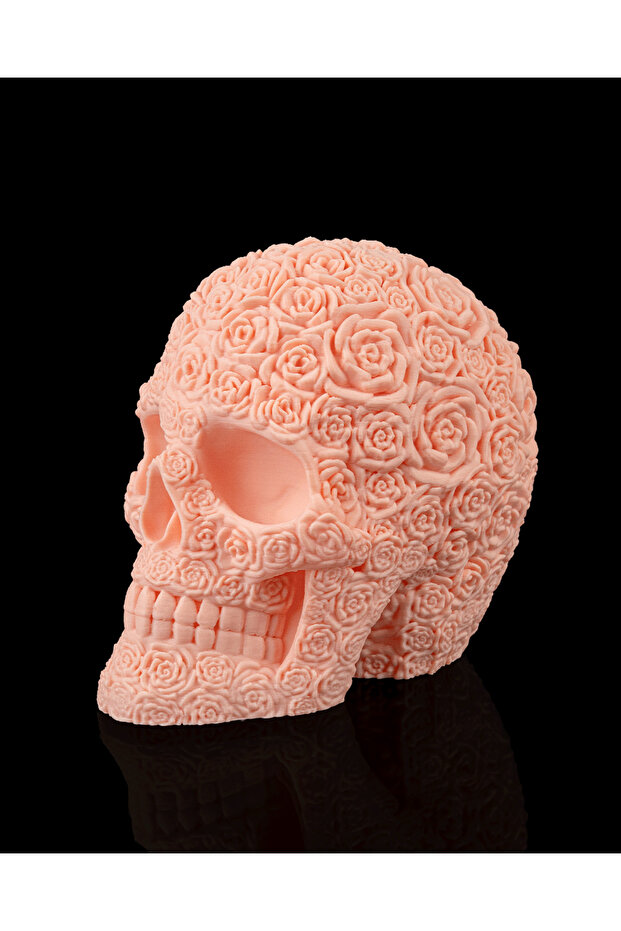 Rosa Mortem Biblo - 2