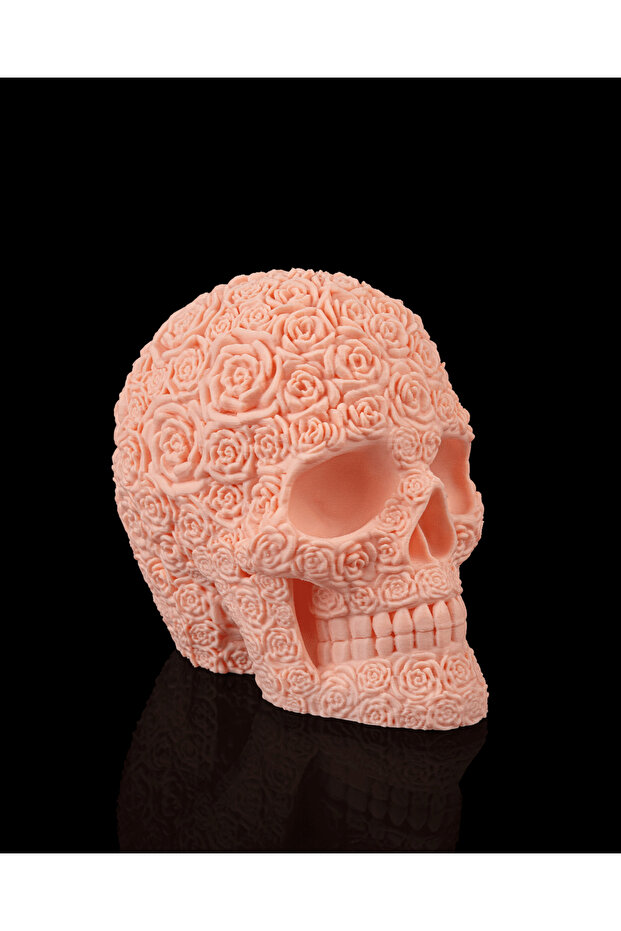 Rosa Mortem Biblo - 5