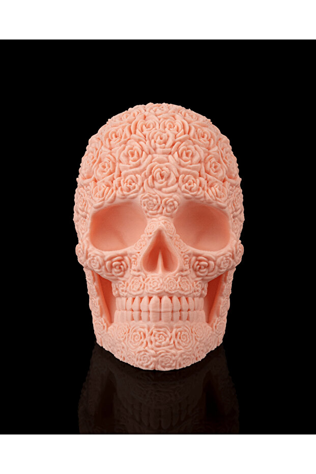 Rosa Mortem Biblo - 1