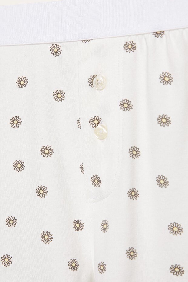 Papatyalı Boxer - 3