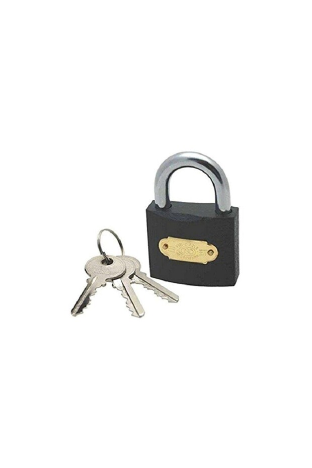 Gray Padlock 25 mm
