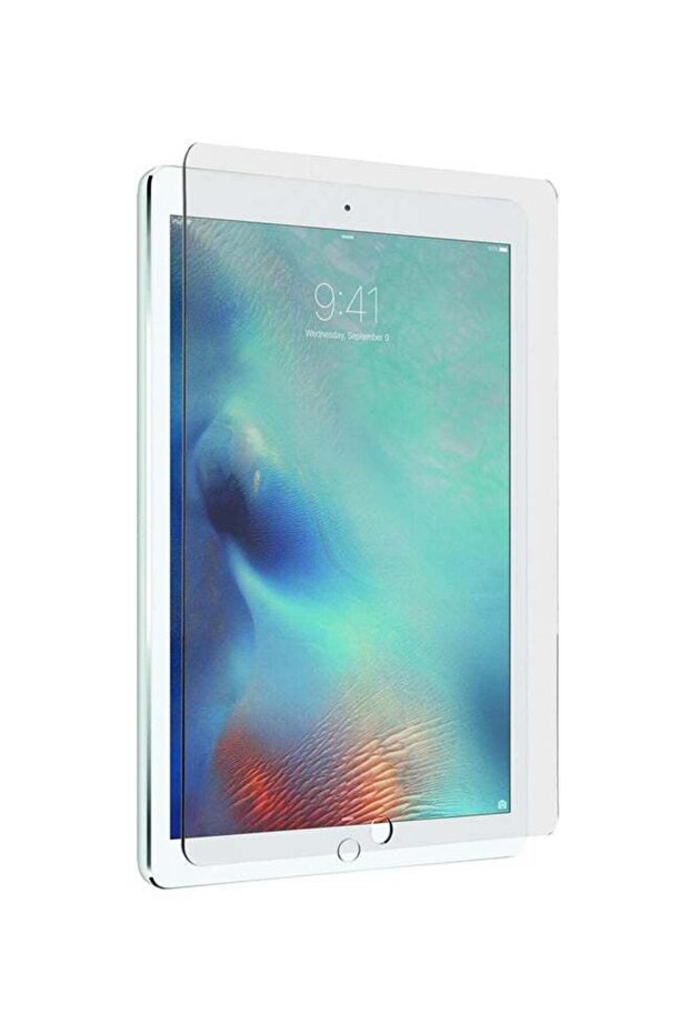 واقي شاشة شفاف لجهاز iPad Pro - 1