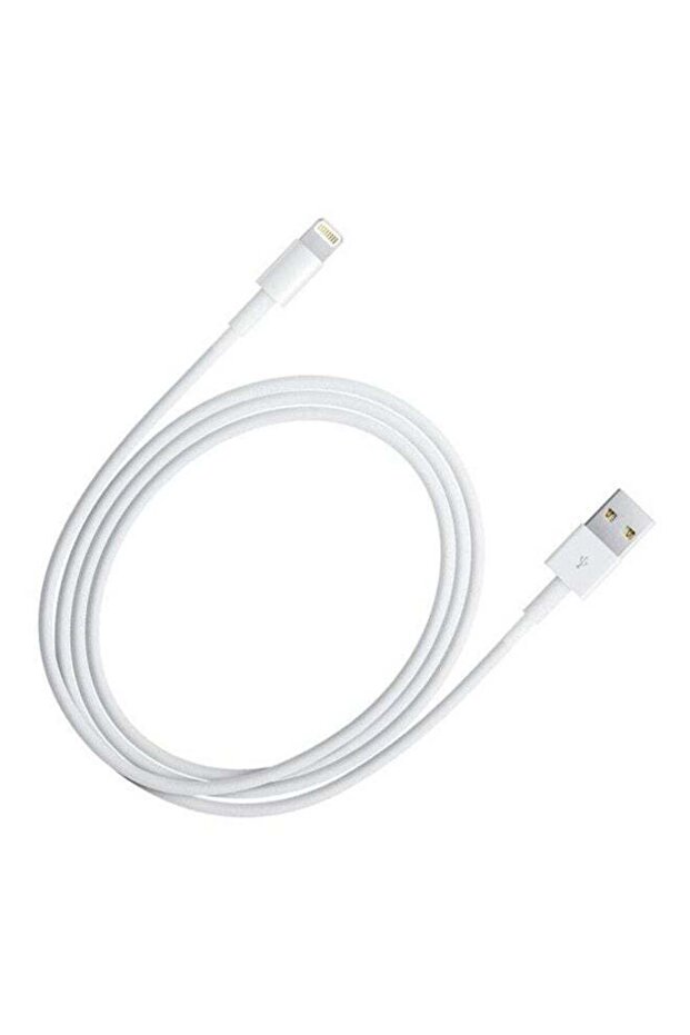 Data And Charging Cable For iPhone 5 / 5S White - 1