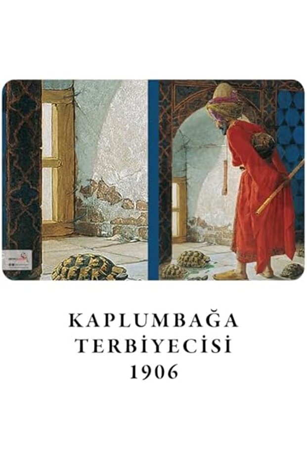 Polysight Turtle Series - A6, Mr. Hamdi's 4-Piece Notebook Set Iii, Unlined, Total 192 Pages, Each Book - 3