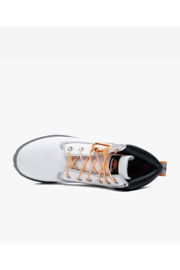 6 In Premium Wp Boot - 4