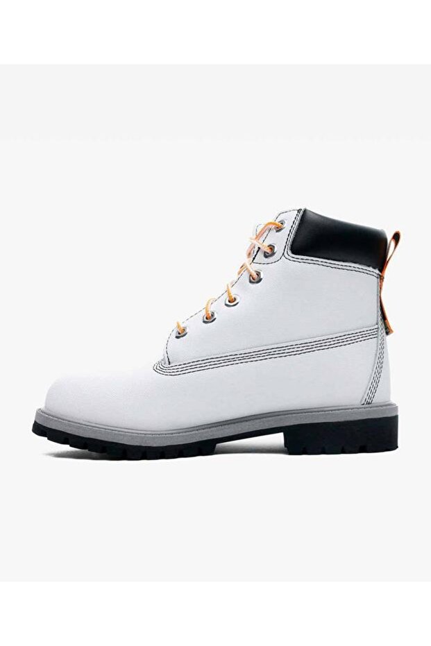 6 In Premium Wp Boot - 2