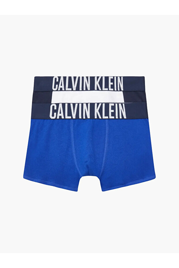 2PK TRUNKS Erkek Mavi Boxer Set - 2