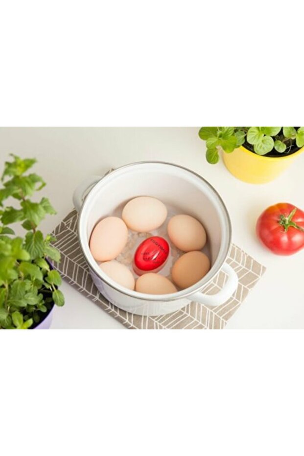 Egg Timer - 3