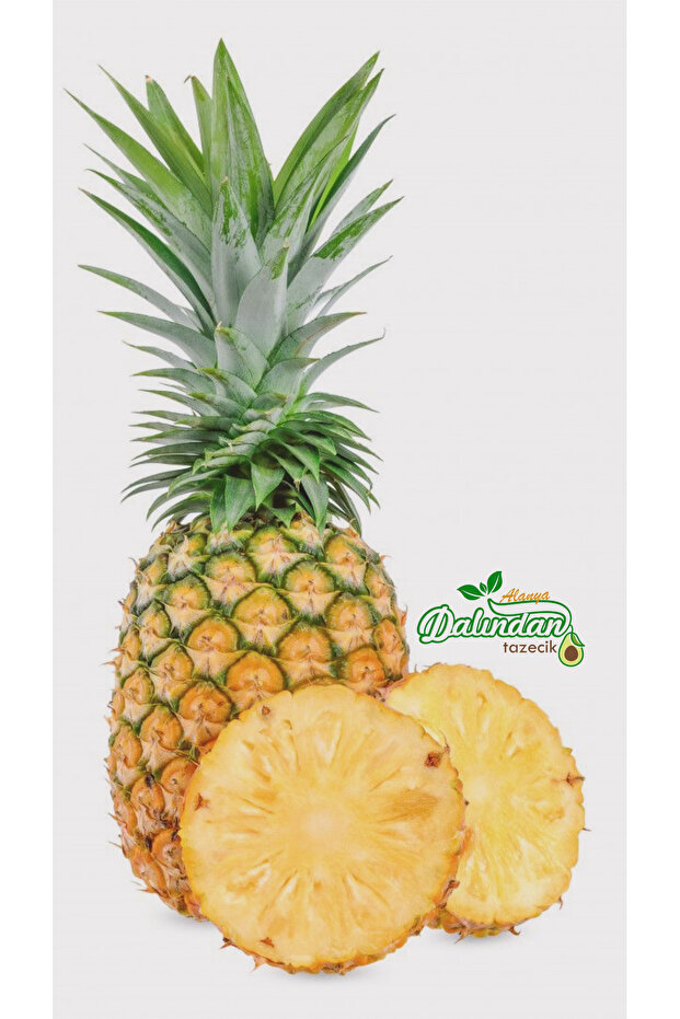 1 Adet Ananas - Taze